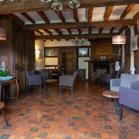 Des Tilleuls Hotel 3*