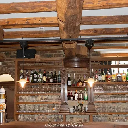 Des Tilleuls Hotel 3*