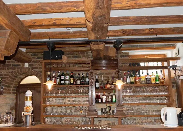 Des Tilleuls Hotel 3*