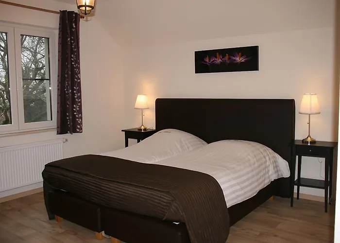 Hotel Des Tilleuls 3*