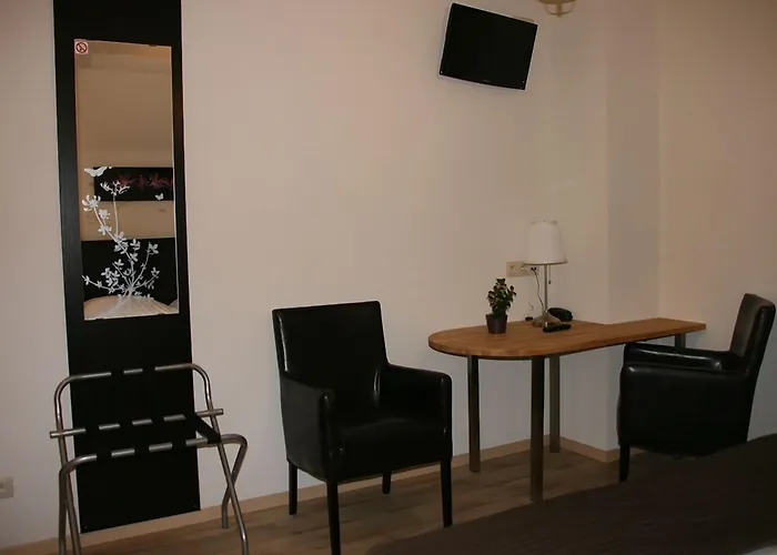 Hotel Des Tilleuls 3*